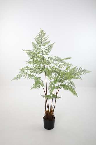 Oriental Fern Plant x7 157cm.png